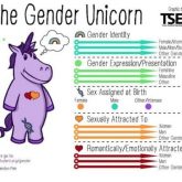 Gender_Unicorn-768x398