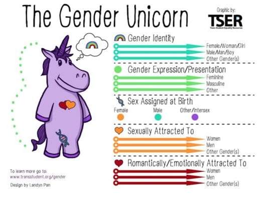 Gender_Unicorn-768x398